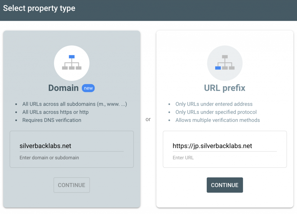 Select the Google Search Console Property type - Silverback Labs